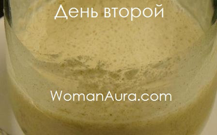 Домашние дрожжи – закваска для хлеба