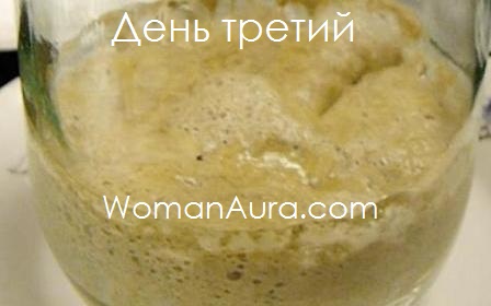 Домашняя закваска для хлеба