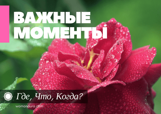 гармонизация дома квартира по Васту 