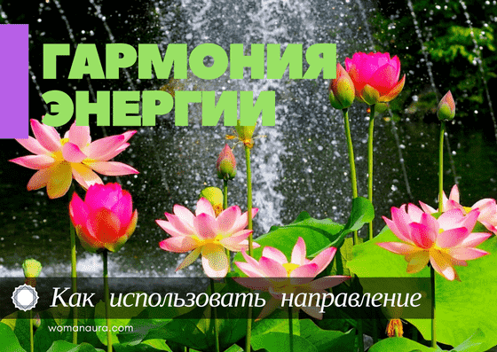 гармонизация дома квартира по Васту 